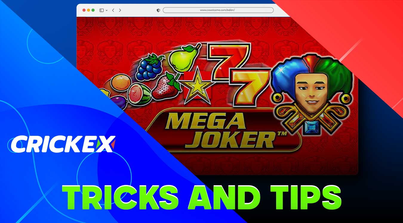 Recommendations and useful game strategies that increase the chances of winning at the casino on the Crickex platform.