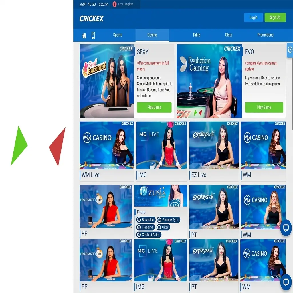 Popular cricket tournaments on Crickex for Bangladesh bettors including ICC World Cup, IPL, BPL, T20 leagues, and The Ashes